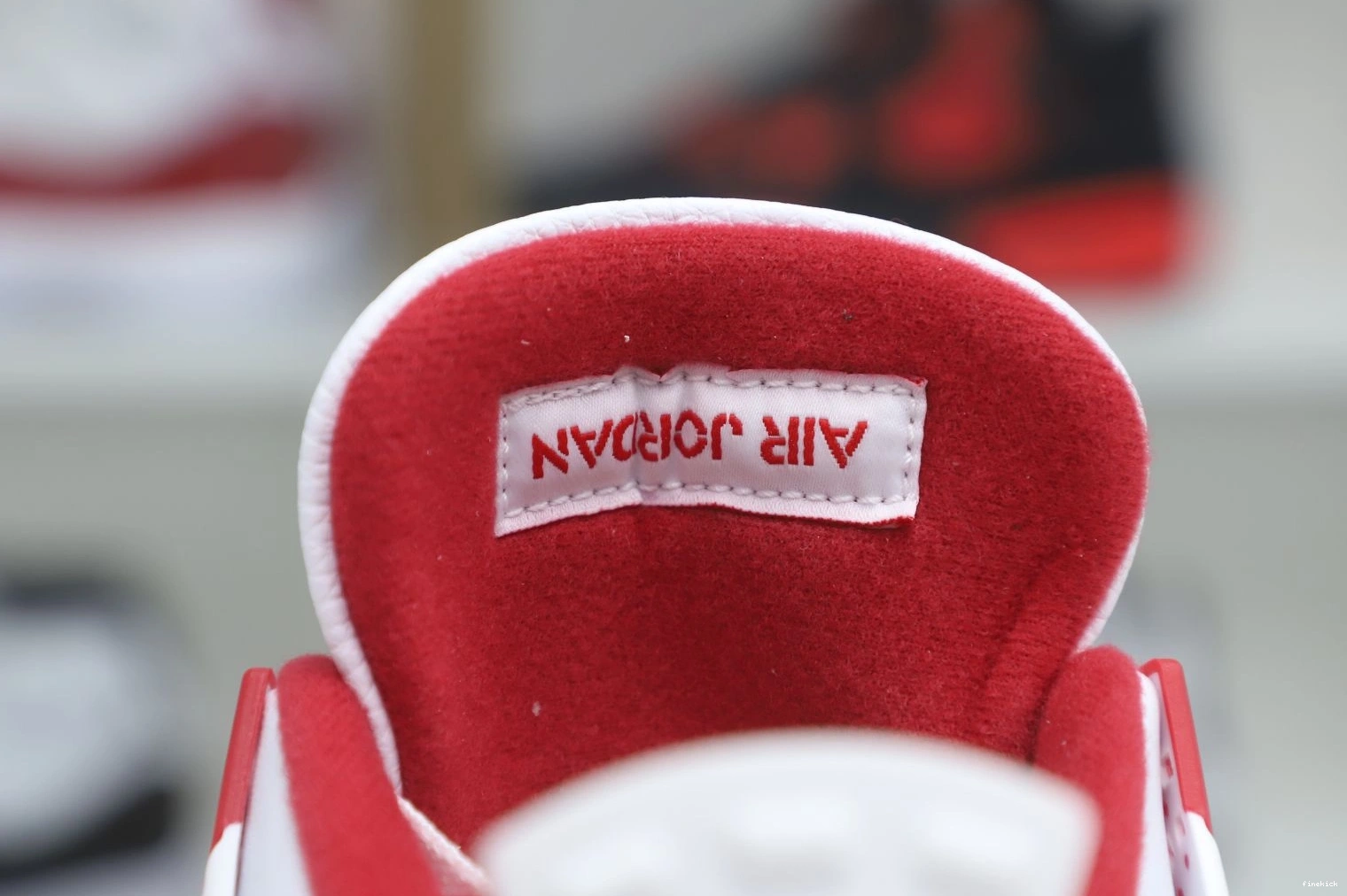 RETRO 89 AIR JORDAN4 ALTERNATE 0225